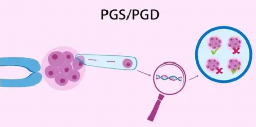 2026香港代怀价格表,深圳北大三代试管的价格是多少?2026年试管费用表
