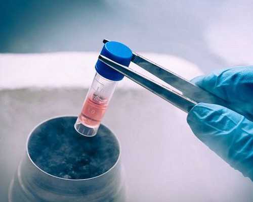 深圳供卵试管不排队医院，深圳第三代试管婴儿医院有哪些？