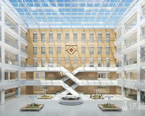 人工受孕要多少价格_代孕早期呕吐出血怎么办