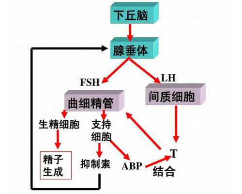 深圳助孕能得多少钱，深圳龙岗生育险最多能报多少钱？