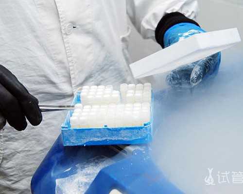 代孕价格表 ,孕26周胎儿正常体重是多少