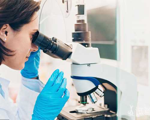 二代试管得费用是多少钱_代孕者受孕难么_代孕妇