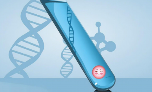 深圳供卵试管机构哪家靠谱，胎停后供卵成功率高吗