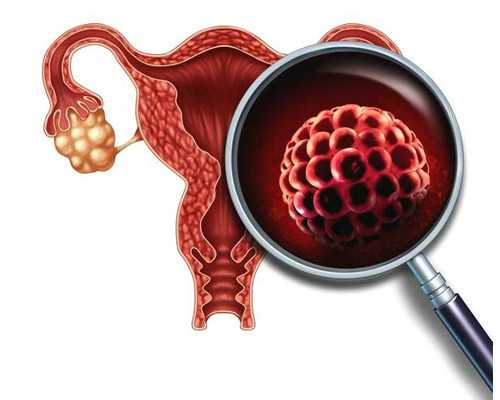 代怀孕地址,代孕妇喝什么粥能补血