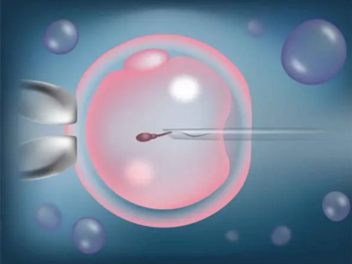 深圳人工代怀费用_宝宝怕热应该怎么办