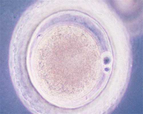 代怀小孩哪家优惠_代孕非法吗_代孕吃了葡萄籽怎