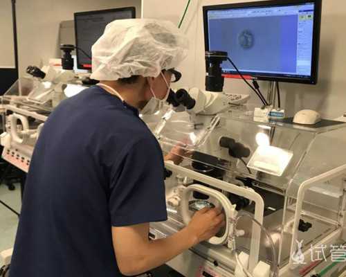 深圳代孕成功率_深圳代孕有那个网站_深圳代孕选男女