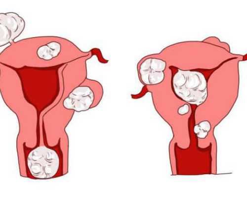 江苏最大供卵中介,【武汉供卵最大的中介】备孕五个月,终于好孕了