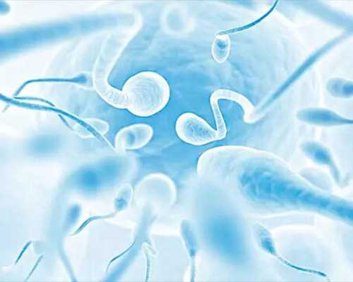 巴彦淖尔代孕_巴彦淖尔代孕做的费用_巴彦淖尔代