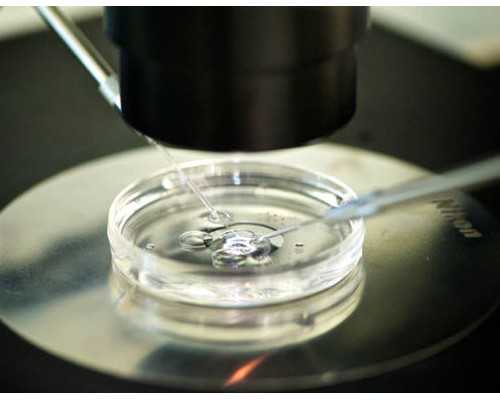 深圳助孕成功后付款,深圳北大试管成功率大吗?一次能成功吗?