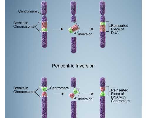 试管借卵成功率大吗-代怀公司机构
