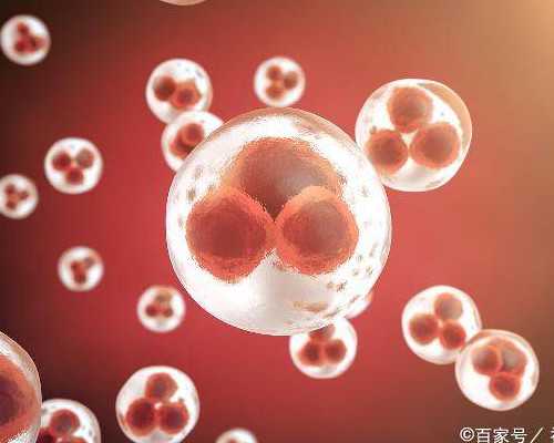 广州代孕联系方式_广州代孕哪家安全_广州找女人生孩子联系电话