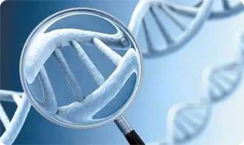 林志玲三代试管,林志玲做试管婴儿是真的吗林志玲为什么做试管婴儿