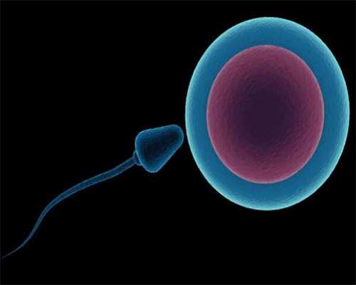 深圳代孕多少钱一次_孕妇抽烟会引起宫缩吗