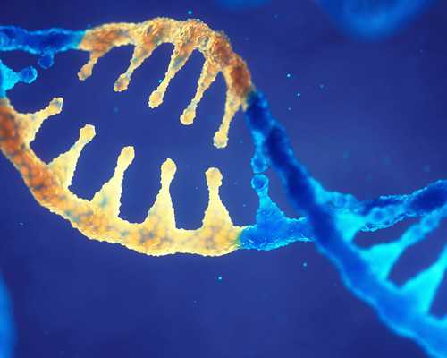 龙井代孕价格_龙井代孕妈妈肤色_龙井试管代孕要