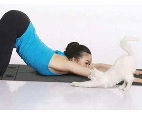 深圳代孕地址-深圳代孕套餐有哪些-深圳找人代孕