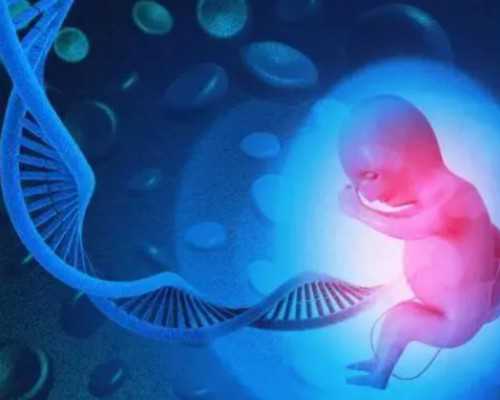 深圳中介招代怀妇_宝宝眉毛淡正常吗如何让宝宝眉毛变浓密