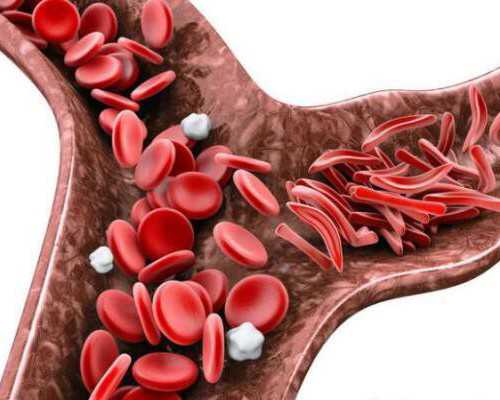 福州职业供卵试管价格