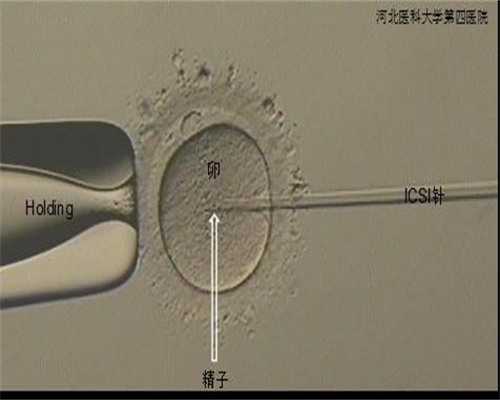 深圳代怀多少钱一次,深圳试管婴儿做一次多少钱