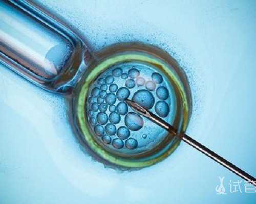 深圳代怀宝宝-南京代怀宝宝【代孕未来，圆梦你我】