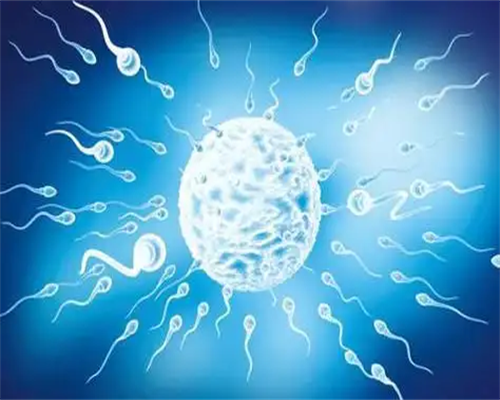 助孕妈妈_深圳代生【传宗接代,代孕基地为您保驾护航。】