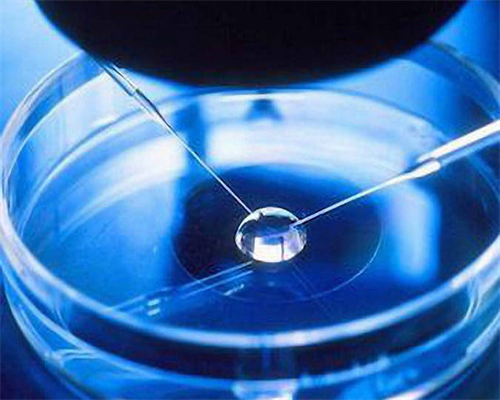 深圳代生小孩多少钱_深圳代孕中介哪家正规_深圳代孕的过程