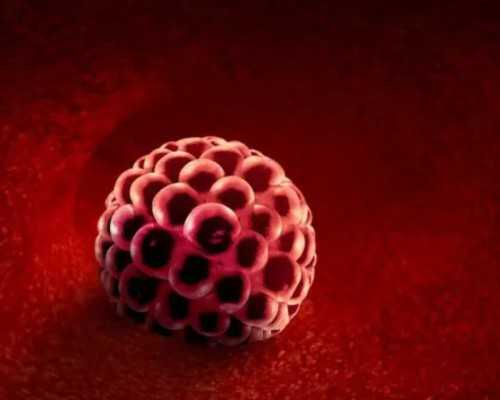 大学生代孕生子_代怀孕价格低_流产会痛吗