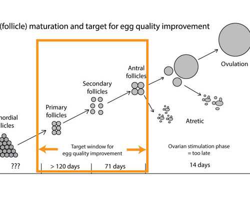 给男宝宝取名用字 了解男孩取名常用字