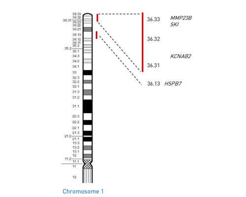 深圳代孕_深圳合法代孕需要多少钱_三要五不要 代孕宝宝就可顺利降生