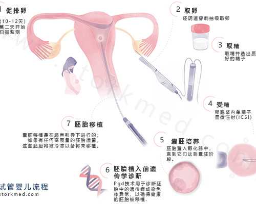 代生包生男孩吗_代生费用包生,备孕期间可以吃板栗吗（板栗煲蹄花）