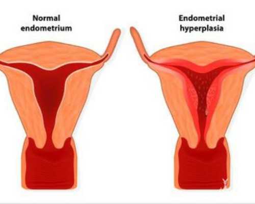 深圳代孕公司_深圳二胎代孕_深圳求代孕机构的价格