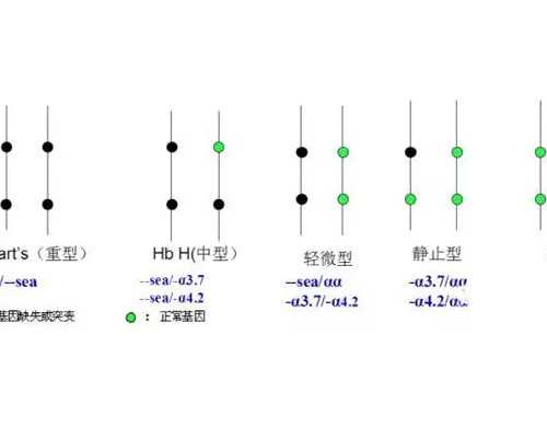 供卵试管费用明细-代生合法吗法律上