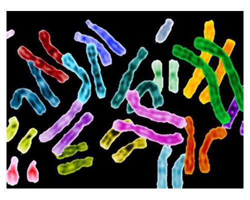 代怀价格多少钱借卵代怀要多少钱