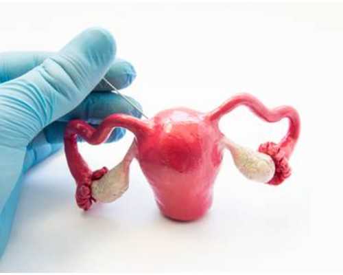 在郑州申请供卵试管技术助孕大概要等多久?