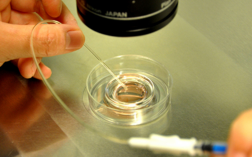 深圳那做代生好,2026深圳供卵试管医院成功率排名，附供卵三代生男孩费用清单