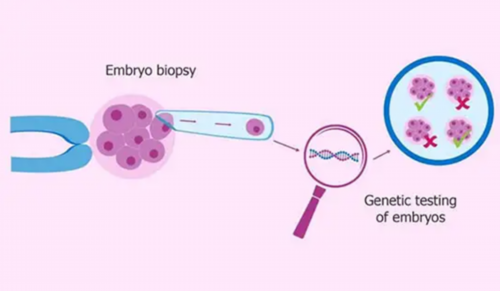 深圳取完卵后需注意什么,深圳宝福代生中介