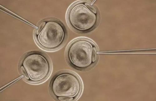 孕妇冬天不能吃什么