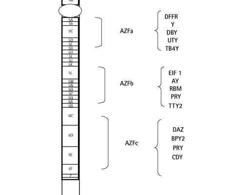 代孕生子如何上户口_法律允许代孕吗_妊娠斑怎么