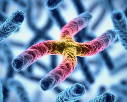 深圳借卵子试管的人多吗，深圳隆胸的价格