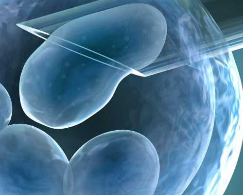 深圳代生子_深圳做助孕的价格_深圳代生妈妈报名方式