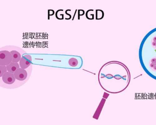 深圳代孕机构可信度高吗_孕妇能不能吃黑椒