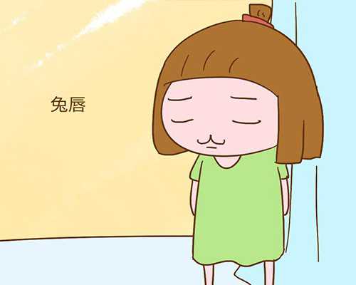 深圳代生_深圳代生_深圳代怀宝宝