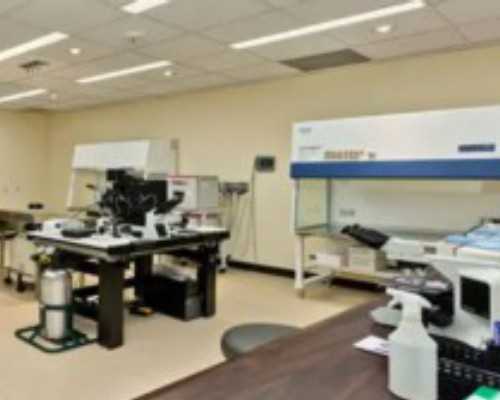 哪有愿意代孕的个人～没有卵巢可以借卵生子吗