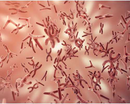 李振辉:这个儿童节很忙、很快乐!