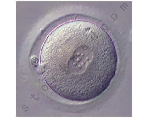 深圳排名代怀公司_宝宝晚上便便怎么更改