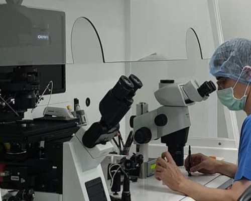 深圳代孕取卵疼吗_深圳代孕妈妈正规的公司_甲亢孕妇可以吃海鲜吗