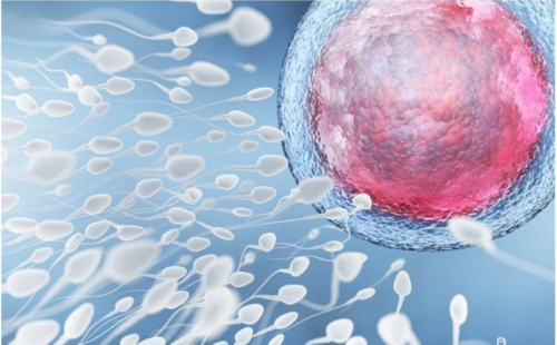 2026年西安能助孕双胞胎的试管医院名单，身体达标后才能够进行