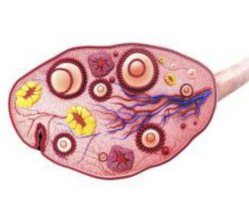 广州选择供卵试管,2026广州哪个医院生殖科做试管婴儿比较厉害?
