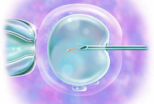 深圳供卵代孕_深圳代孕之父_深圳代孕有联系方式吗