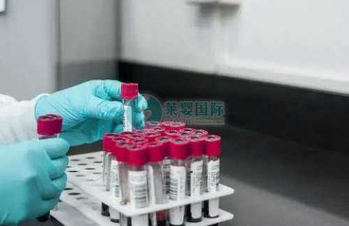 哈尔滨供卵试管婴儿,本地的医院做供卵试管婴儿要排队等多久